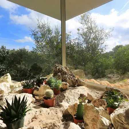 Piddi Villa